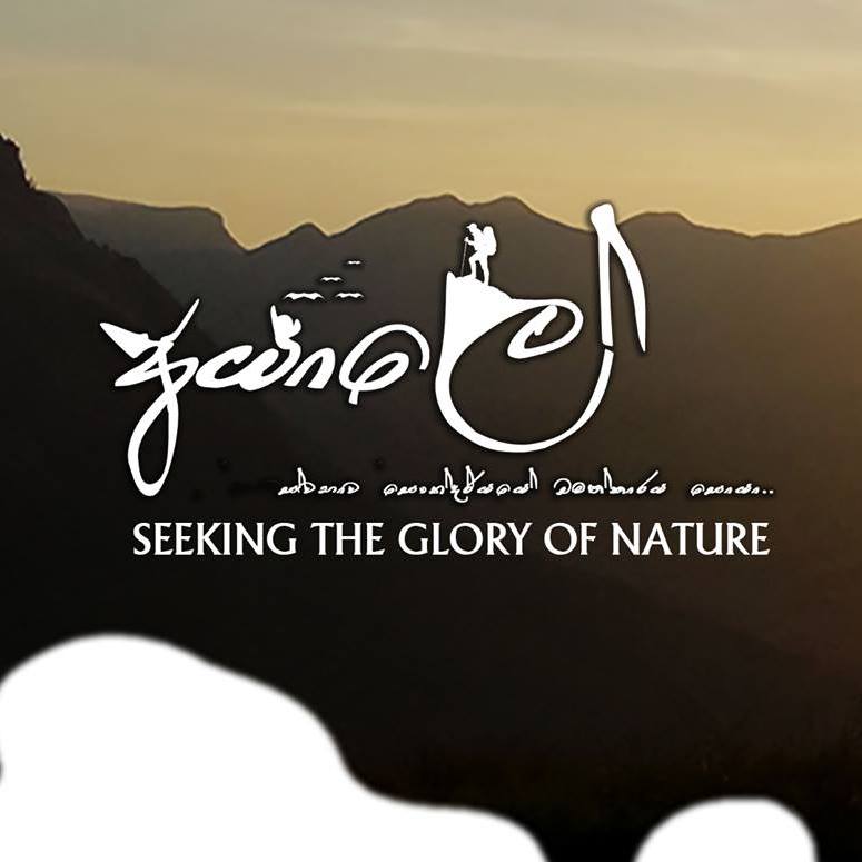 Ayaletravel